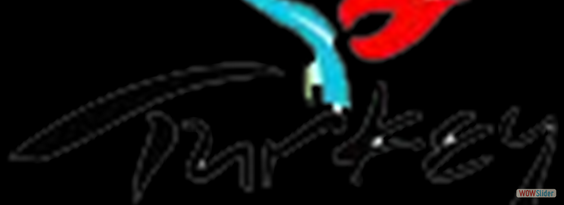 logo3